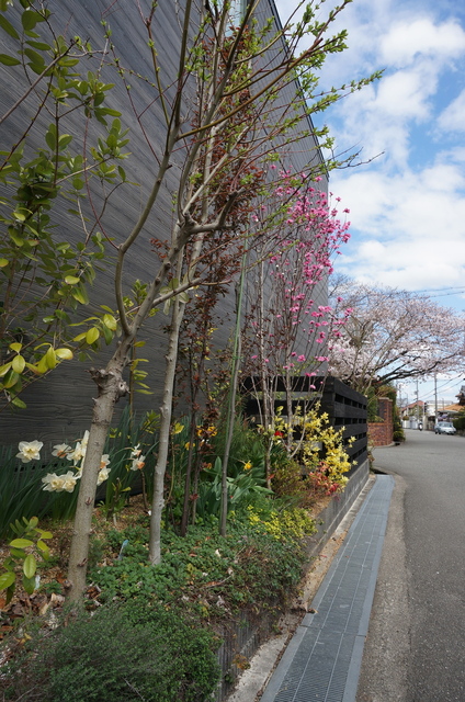 DSC01091.jpg