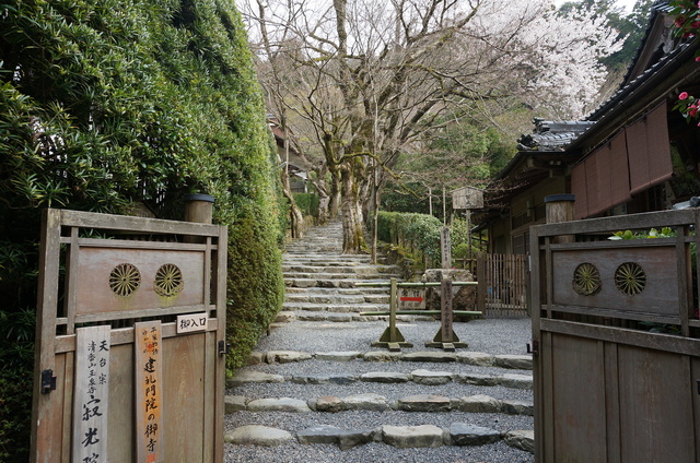 DSC01124.JPG
