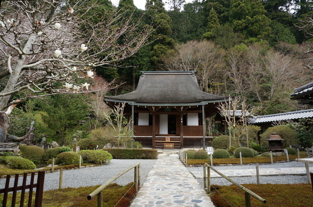DSC01133.JPG
