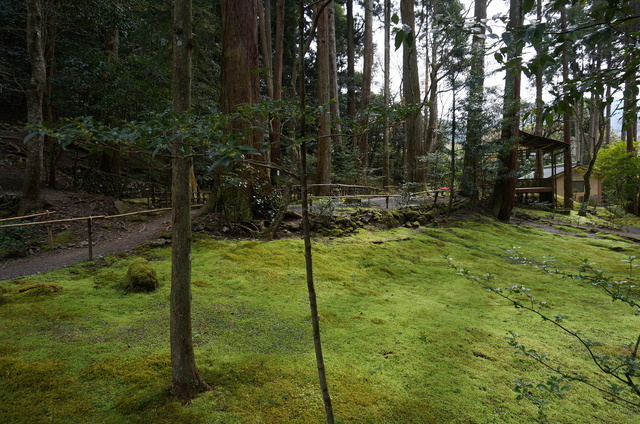 DSC01138.JPG