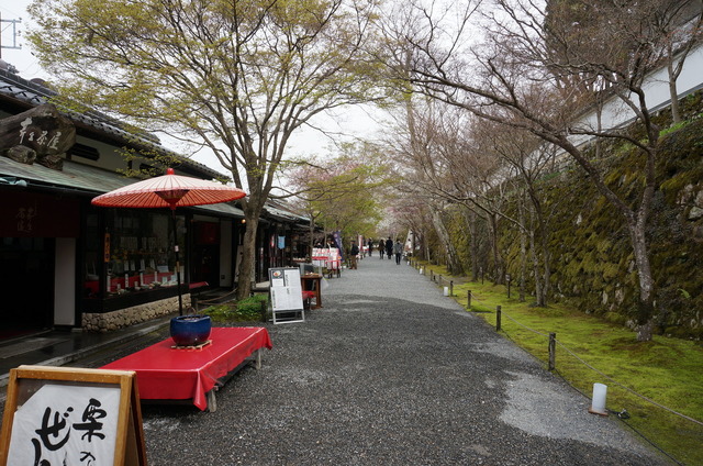 DSC01152.JPG
