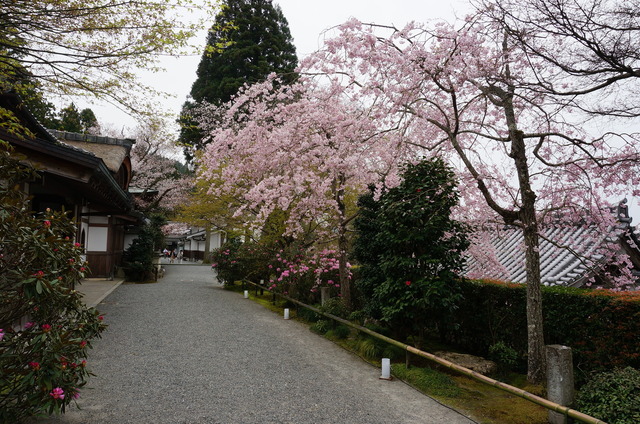 DSC01201.JPG