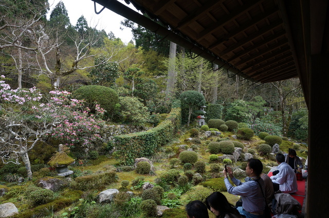 DSC01205.JPG