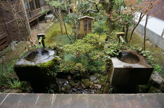 DSC01209.JPG