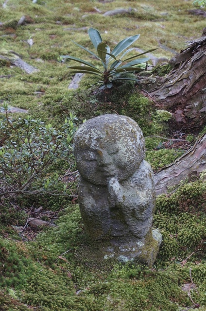 DSC01233.jpg