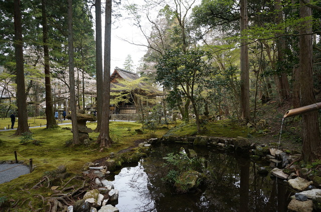 DSC01237.JPG