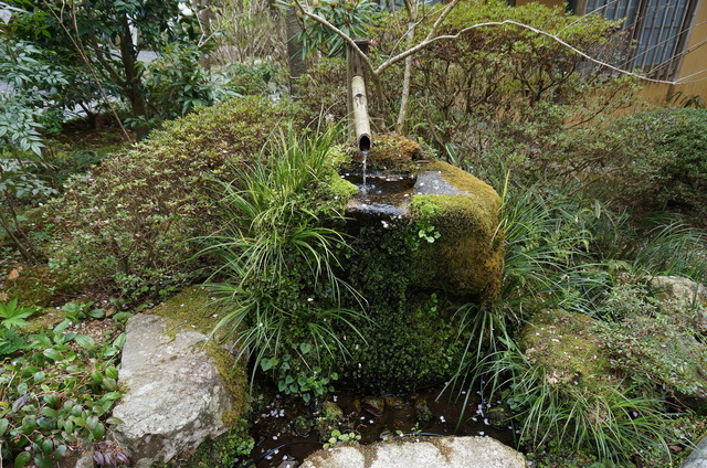 DSC01241.JPG