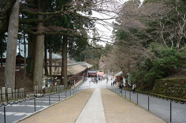 DSC01263.JPG