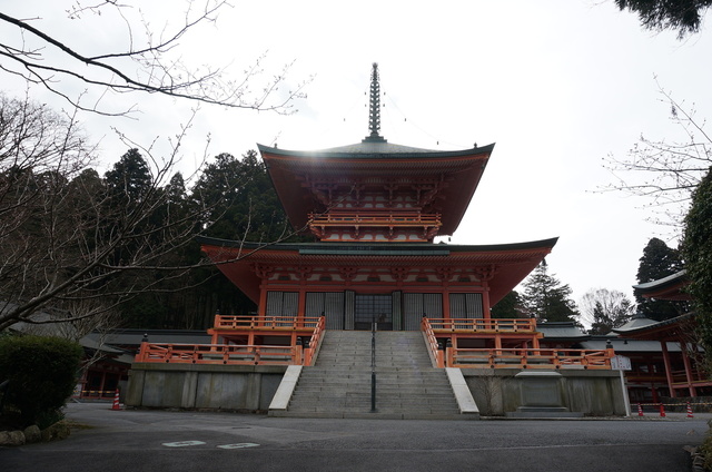 DSC01282.JPG