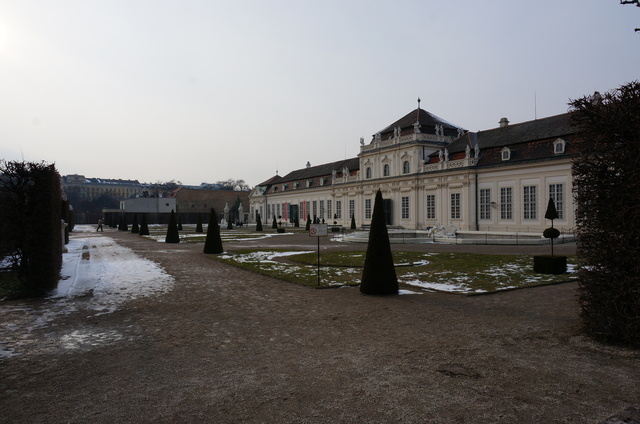 DSC01335.JPG