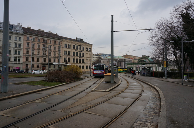 DSC01427.JPG