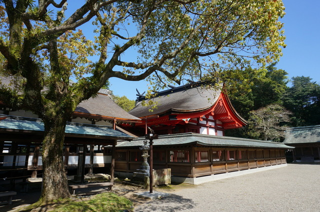 DSC01474.JPG