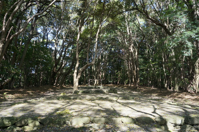 DSC01501.JPG