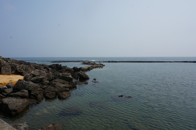 DSC01648.JPG