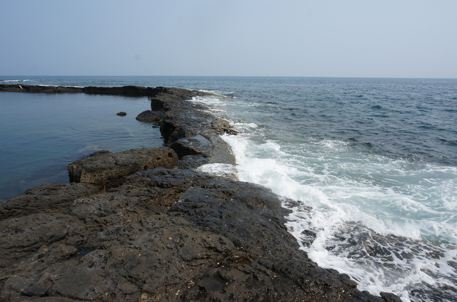DSC01667.JPG