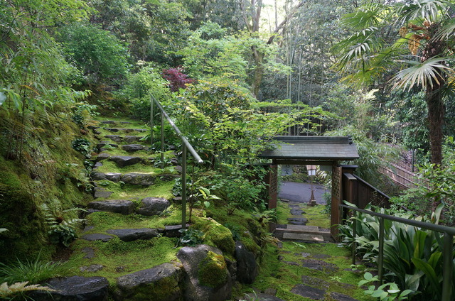 DSC01894.JPG