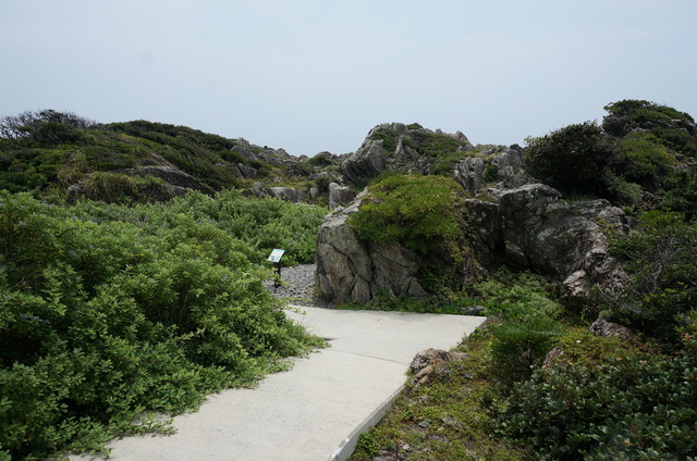 DSC03315.JPG