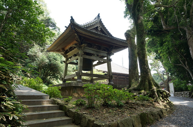 DSC03383.JPG