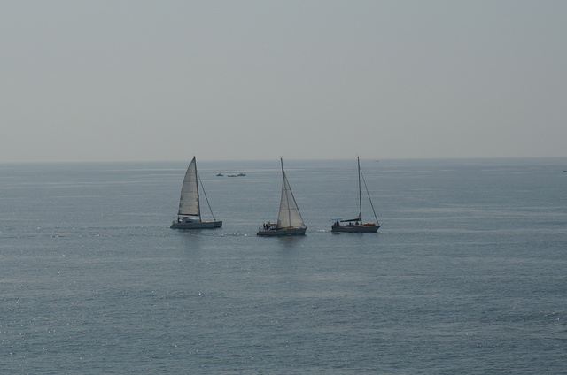 DSC03460.JPG