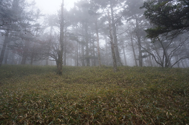 DSC04051.JPG