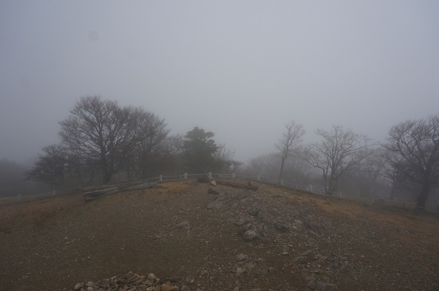 DSC04062.JPG