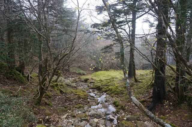 DSC04092.JPG