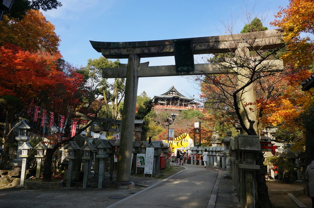 DSC04165.JPG