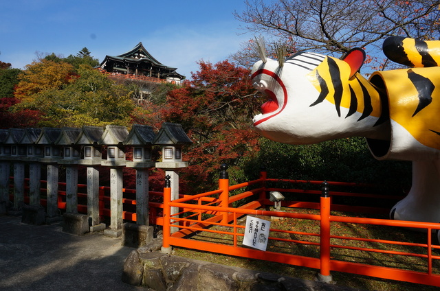 DSC04175.JPG
