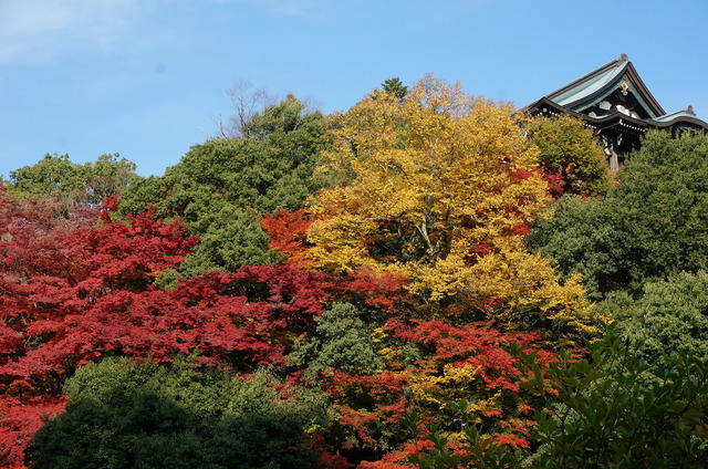 DSC04180.JPG