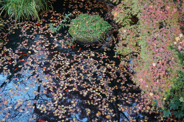 DSC04191.JPG