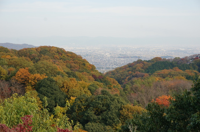 DSC04210.JPG