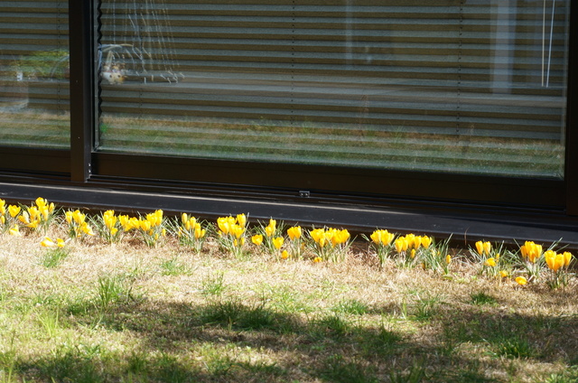 DSC04214.JPG