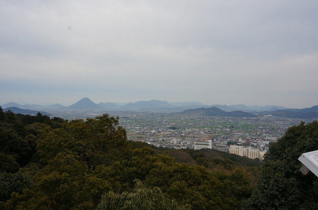 DSC04314.JPG