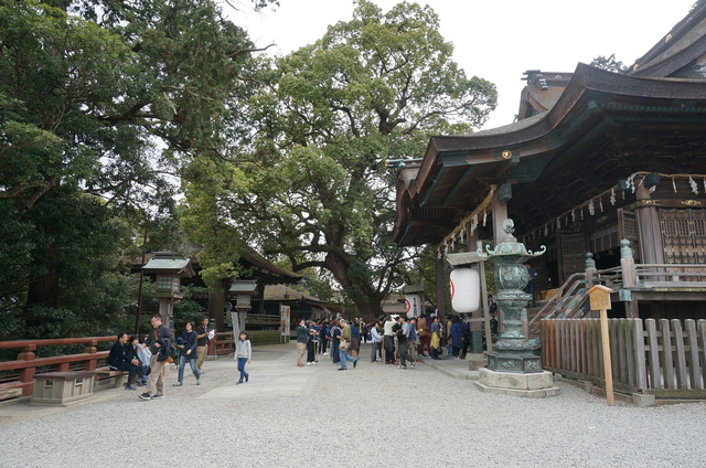 DSC04318.JPG