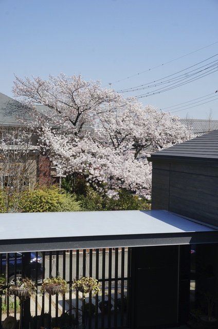 DSC04549.jpg
