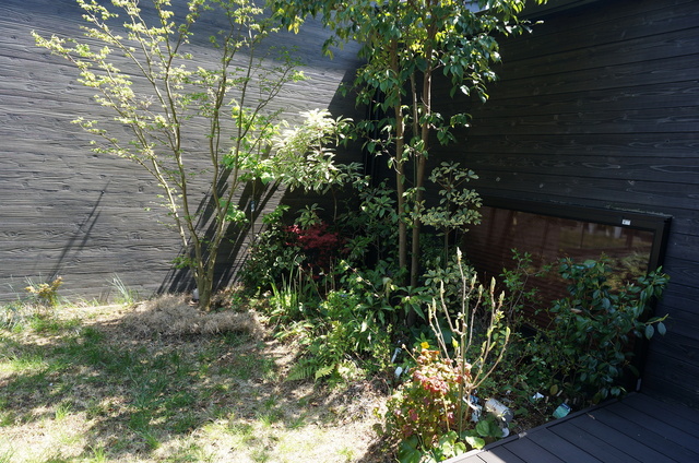 DSC04550.JPG