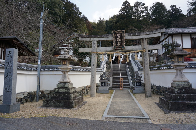 DSC04889.JPG