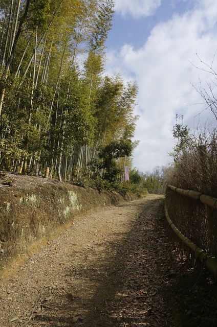 DSC04901.jpg