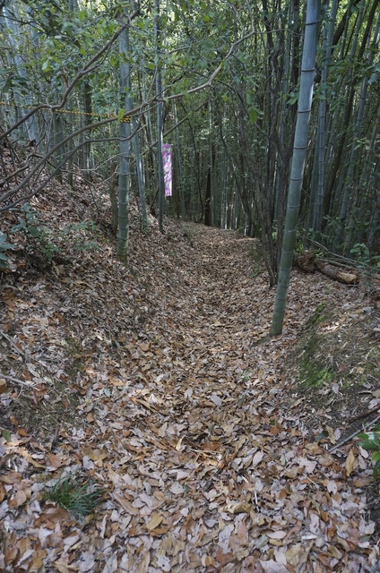 DSC04906.jpg