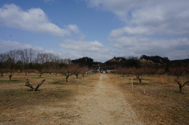 DSC04911.JPG