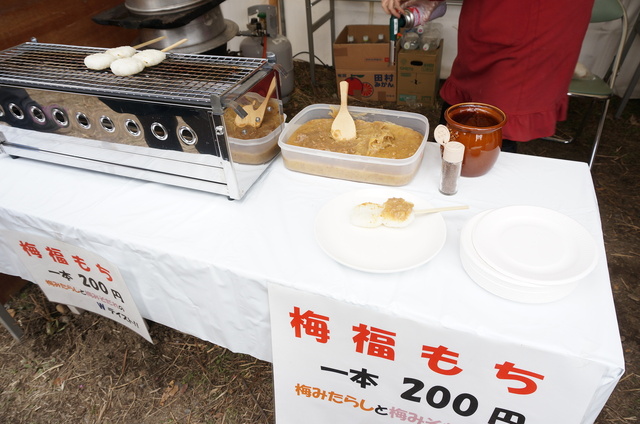 DSC04918.JPG