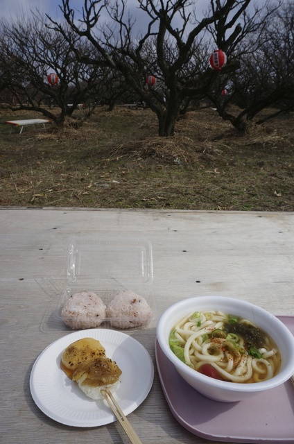 DSC04920.jpg