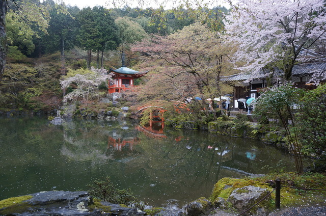 DSC05733.JPG
