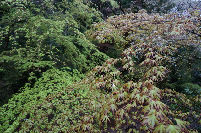 DSC05741.JPG