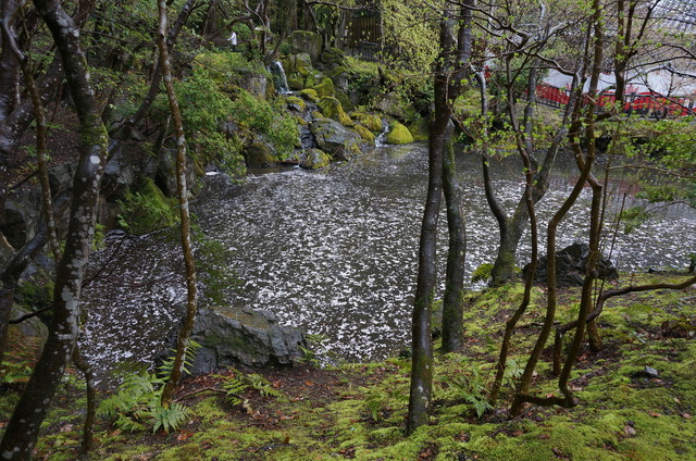 DSC05751.JPG