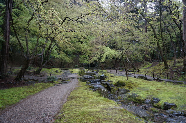 DSC05753.JPG