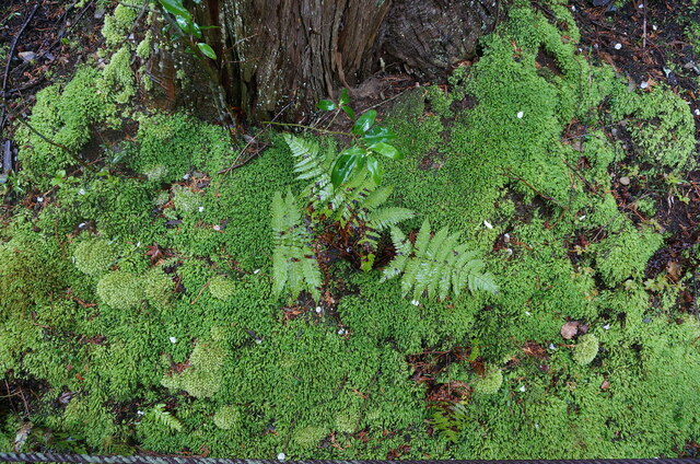 DSC05755.JPG
