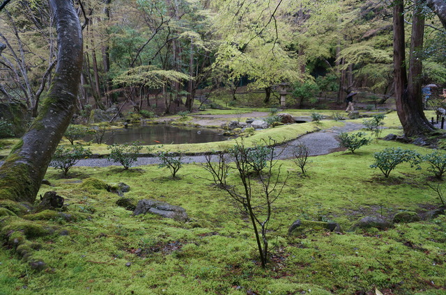 DSC05757.JPG