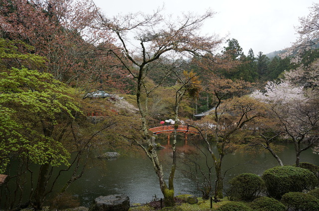 DSC05761.JPG