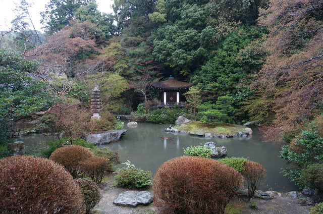 DSC05787.JPG